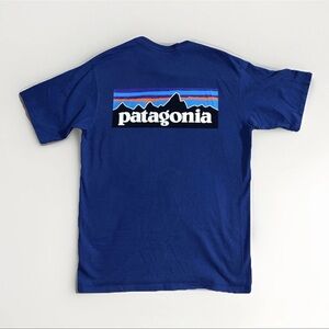 Patagonia Mens Extra Small Organic Cotton Graphic T Shirt Tee Top Blue Graphic